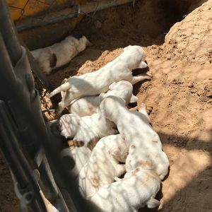 Meet your Posher, Leslie